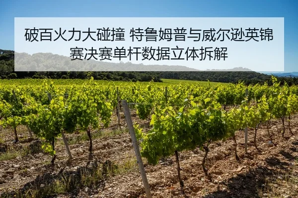po-bai-huo-li-da-peng-zhuang-te-lu-mu-pu-yu-wei-er-xun-ying-jin-sai-jue-sai-dan-gan-shu-ju-li-ti-chai-jie-2-672.jpg